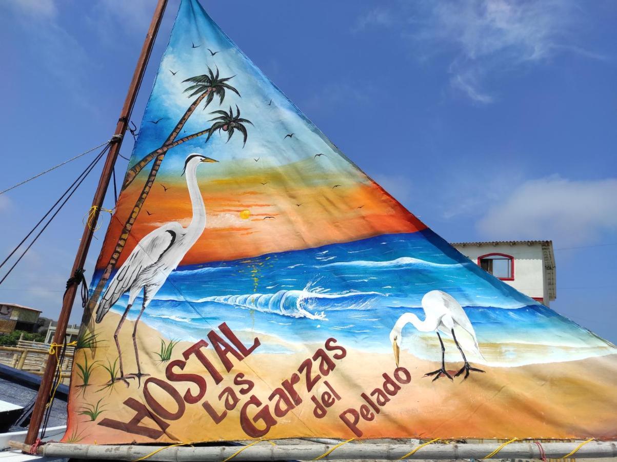 Hostal Las Garzas Del Pelado Playas Kültér fotó